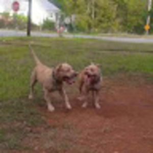 Meet your Posher, Randy